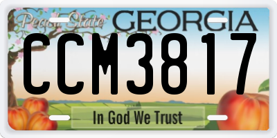 GA license plate CCM3817