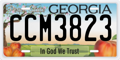 GA license plate CCM3823