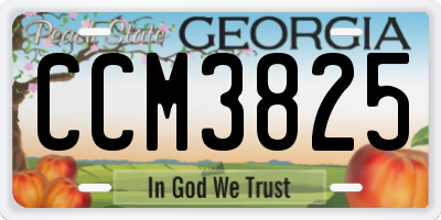 GA license plate CCM3825