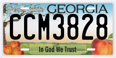 GA license plate CCM3828