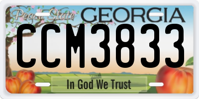 GA license plate CCM3833