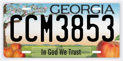 GA license plate CCM3853