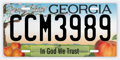 GA license plate CCM3989