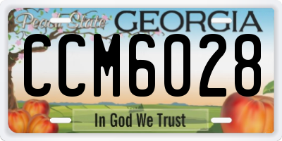 GA license plate CCM6028
