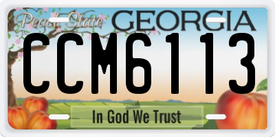 GA license plate CCM6113