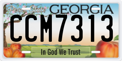 GA license plate CCM7313