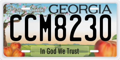 GA license plate CCM8230