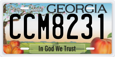 GA license plate CCM8231