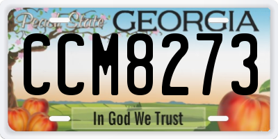 GA license plate CCM8273