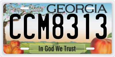 GA license plate CCM8313