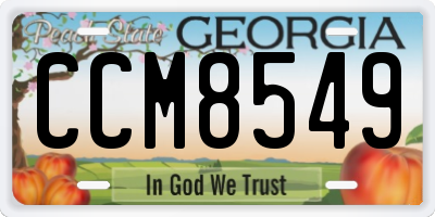 GA license plate CCM8549