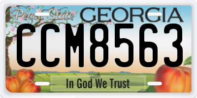 GA license plate CCM8563