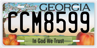 GA license plate CCM8599