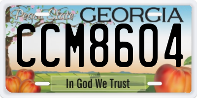 GA license plate CCM8604