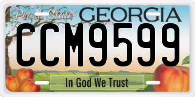 GA license plate CCM9599