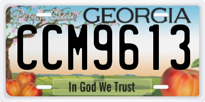 GA license plate CCM9613