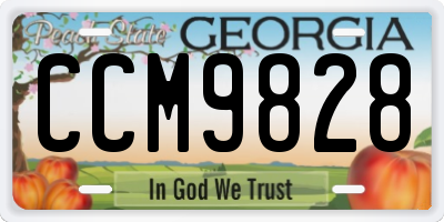 GA license plate CCM9828
