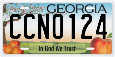 GA license plate CCN0124