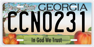 GA license plate CCN0231