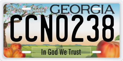 GA license plate CCN0238