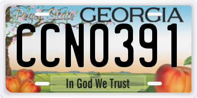 GA license plate CCN0391