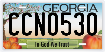 GA license plate CCN0530