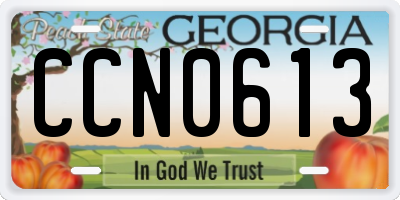 GA license plate CCN0613