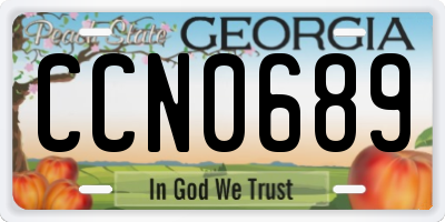 GA license plate CCN0689