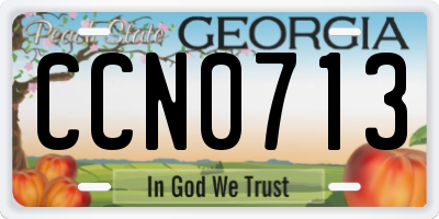 GA license plate CCN0713