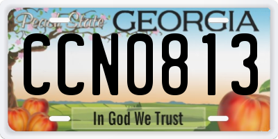 GA license plate CCN0813