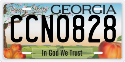 GA license plate CCN0828