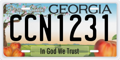 GA license plate CCN1231