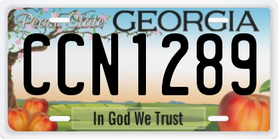 GA license plate CCN1289