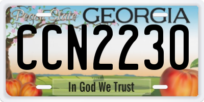 GA license plate CCN2230