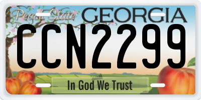 GA license plate CCN2299