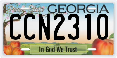 GA license plate CCN2310