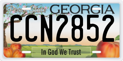 GA license plate CCN2852