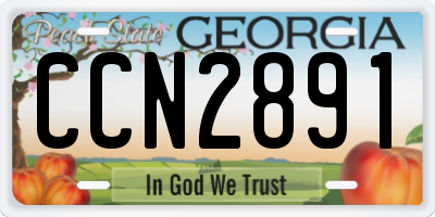 GA license plate CCN2891