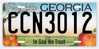 GA license plate CCN3012
