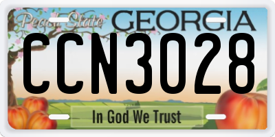 GA license plate CCN3028