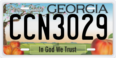 GA license plate CCN3029