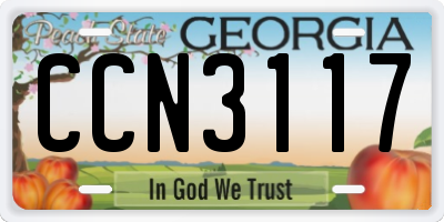 GA license plate CCN3117