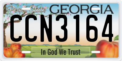 GA license plate CCN3164
