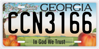 GA license plate CCN3166