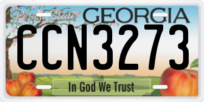 GA license plate CCN3273