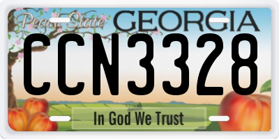 GA license plate CCN3328