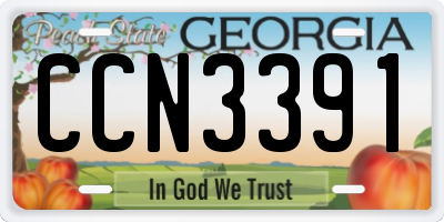 GA license plate CCN3391
