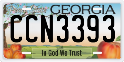 GA license plate CCN3393