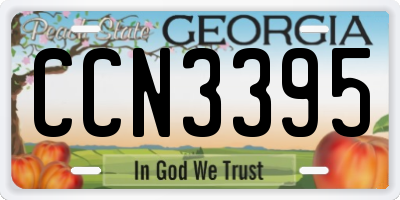 GA license plate CCN3395