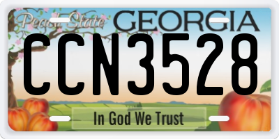 GA license plate CCN3528